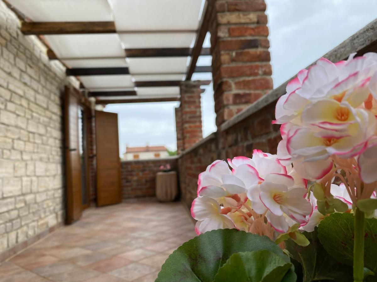 Paradise Villa Cassonni Istria 4 Stars Butkovići Extérieur photo